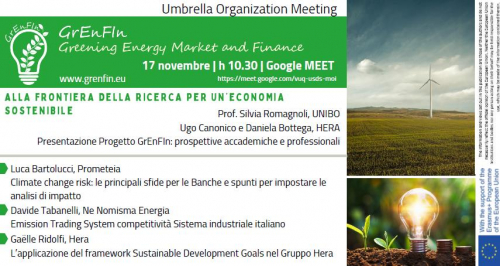 GrEnFIn - Umbrella Organization Meeting