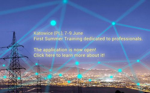 GrEnFIn Summer Training